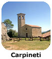 Carpineti